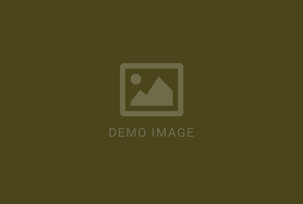 Portfolio App
